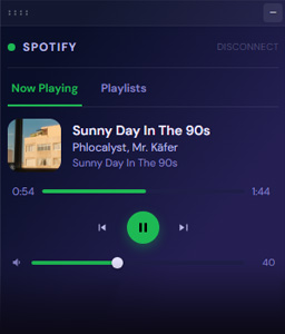 Spotify Premium Controls